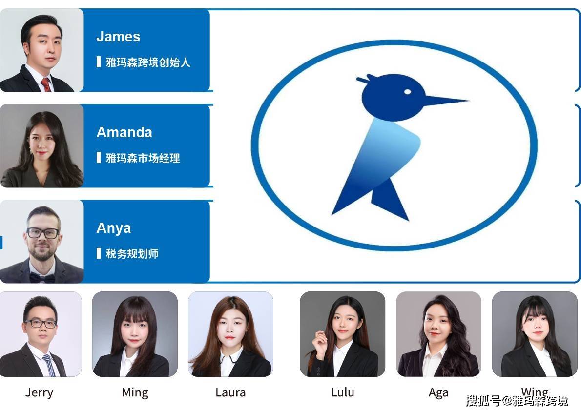 侵权预警！Casio科学计算器&amp;不爽猫 Grumpy Cat，卖家及时排查下架！