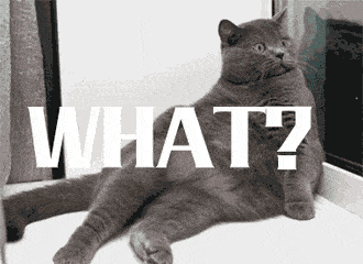 "I love cat"不是"我喜欢猫"!歪果仁会吓坏的!(音频版)