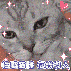 "I love cat"不是"我喜欢猫"!歪果仁会吓坏的!(音频版)
