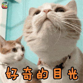 "I love cat"不是"我喜欢猫"!歪果仁会吓坏的!(音频版)