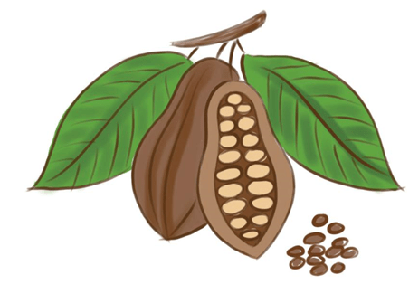 细数那些有趣的货币