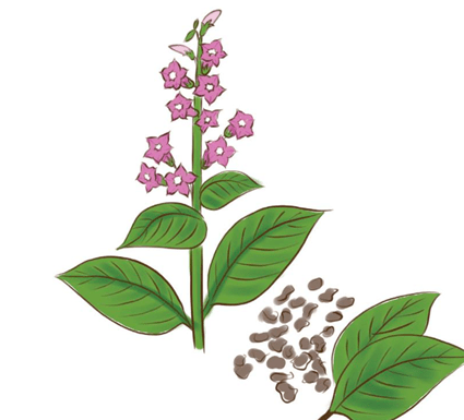 细数那些有趣的货币