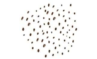 细数那些有趣的货币