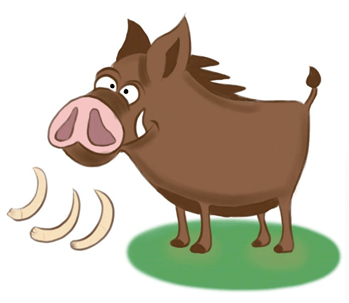 细数那些有趣的货币