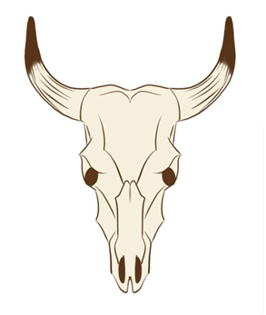 细数那些有趣的货币