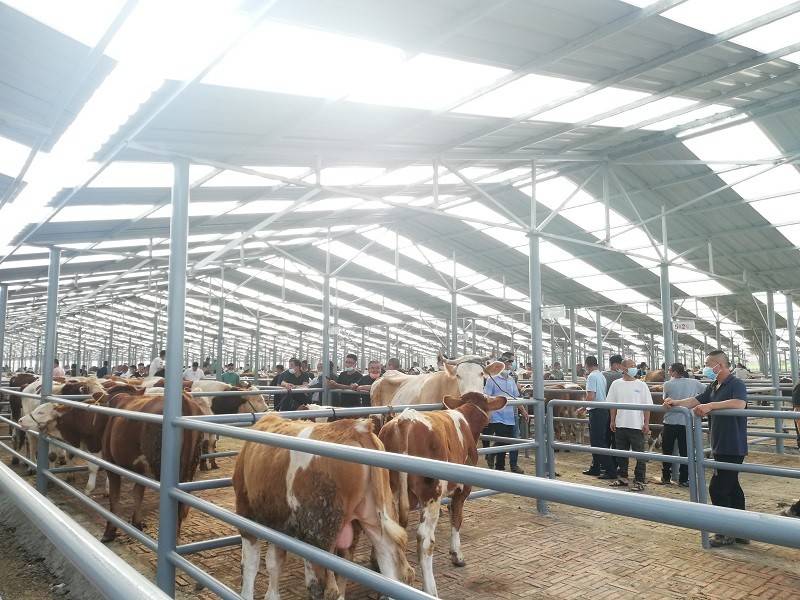 桦甸市永盛牲畜交易市场正式运营