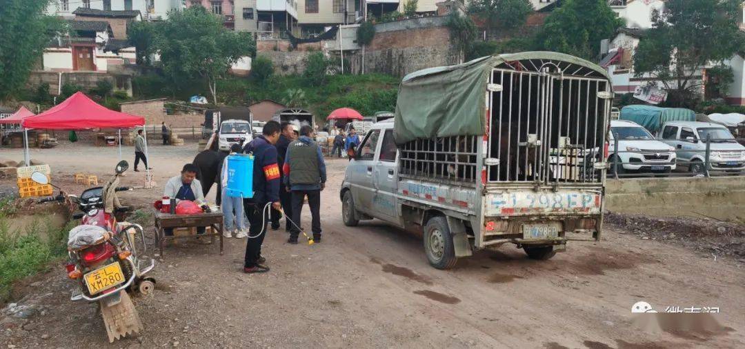 宝华镇畜禽交易市场建成投入使用