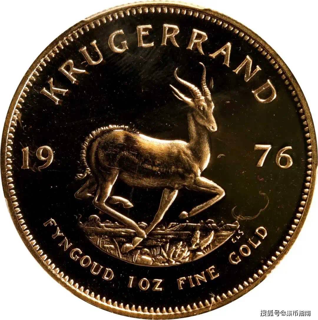 这些金币中熊猫币排第几?