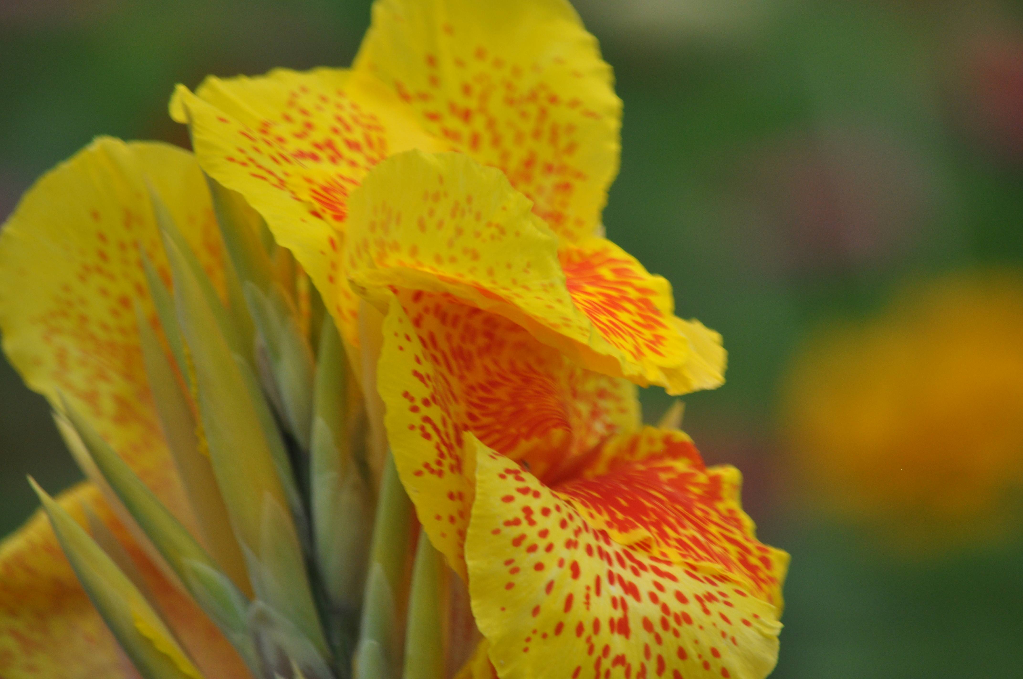 以金融资产清偿债务为什么不用缴纳增值税吗?