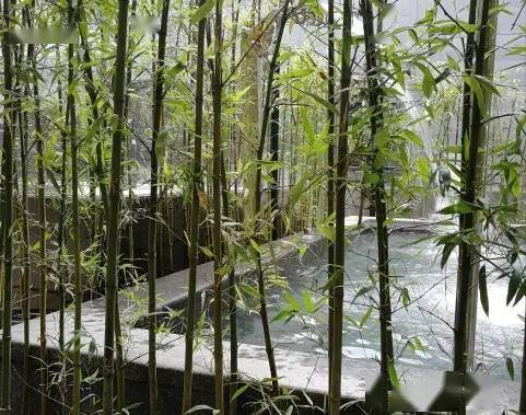 住进山里秘境~AAAA南昆山居温泉度假酒店,618元住宿+自助早+园林温泉+chao大泳池