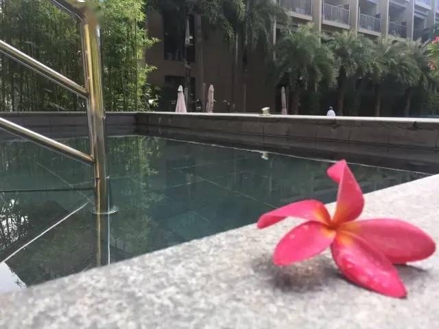 住进山里秘境~AAAA南昆山居温泉度假酒店,618元住宿+自助早+园林温泉+chao大泳池