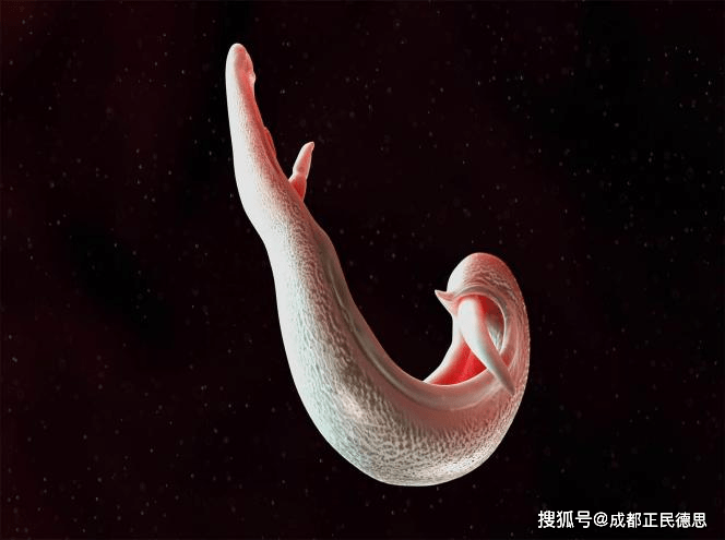 如何利用GST标签蛋白纯化蛋白（上）