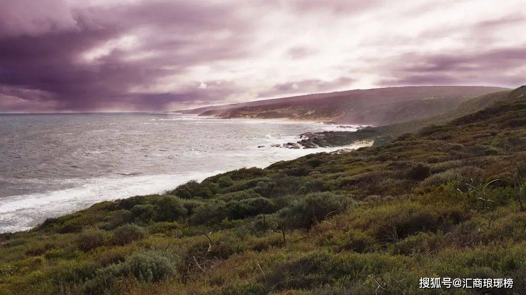 干货 | 几种常见的交易系统类别