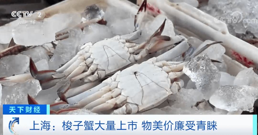 价格降了！这种螃蟹，10元能买两只→