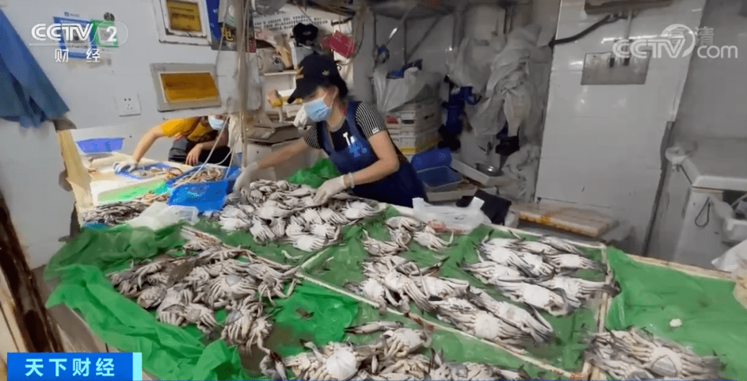 价格降了！这种螃蟹，10元能买两只→