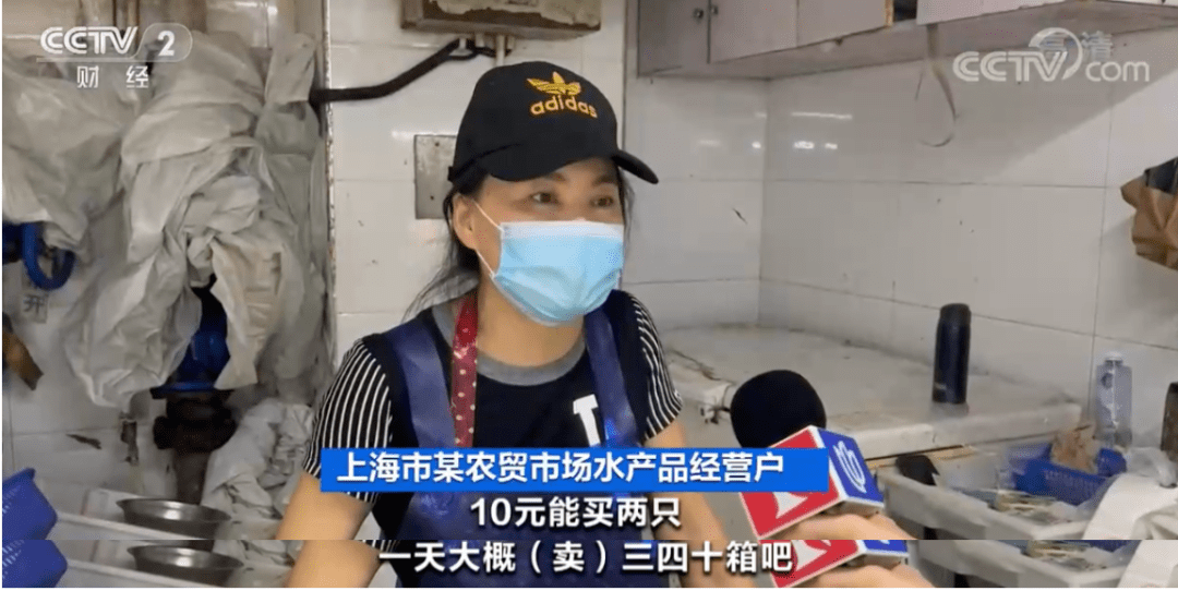 价格降了！这种螃蟹，10元能买两只→