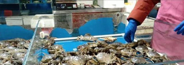 实拍海鲜市场,冷冷清清,但是螃蟹大虾价格仍“傲娇”