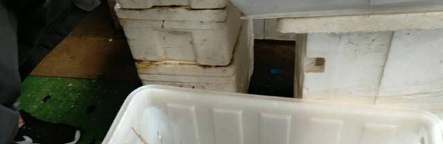 实拍海鲜市场,冷冷清清,但是螃蟹大虾价格仍“傲娇”