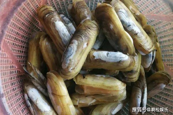 立秋后吃海鲜，建议：少吃螃蟹和大虾，多吃这3样，营养高价格低