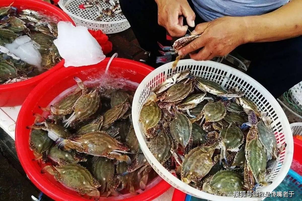一样是螃蟹,“30和80”元一斤的,有啥区别?知道以后别再乱买了