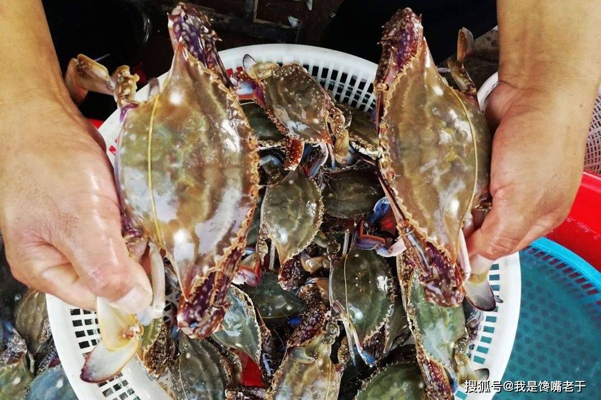 一样是螃蟹,“30和80”元一斤的,有啥区别?知道以后别再乱买了