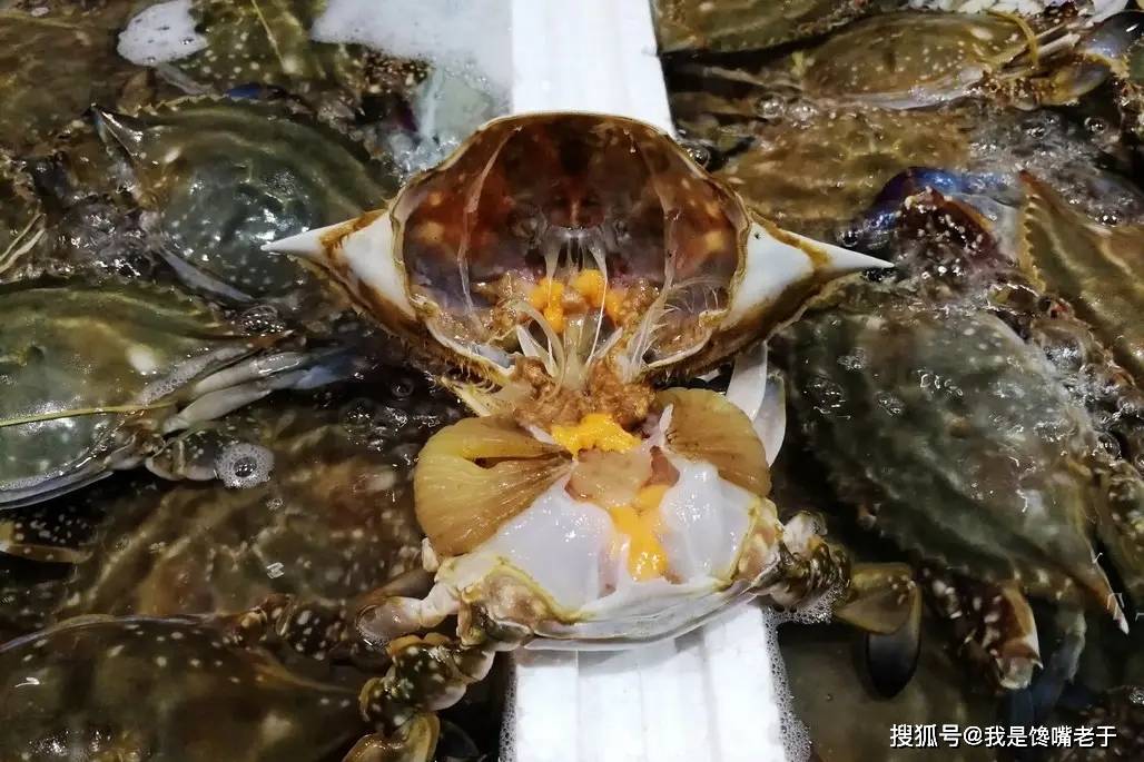 一样是螃蟹,“30和80”元一斤的,有啥区别?知道以后别再乱买了