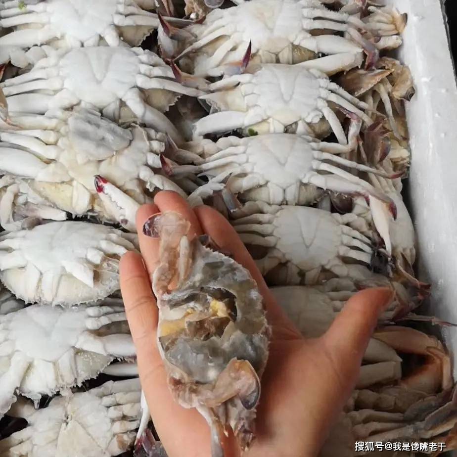 一样是螃蟹,“30和80”元一斤的,有啥区别?知道以后别再乱买了