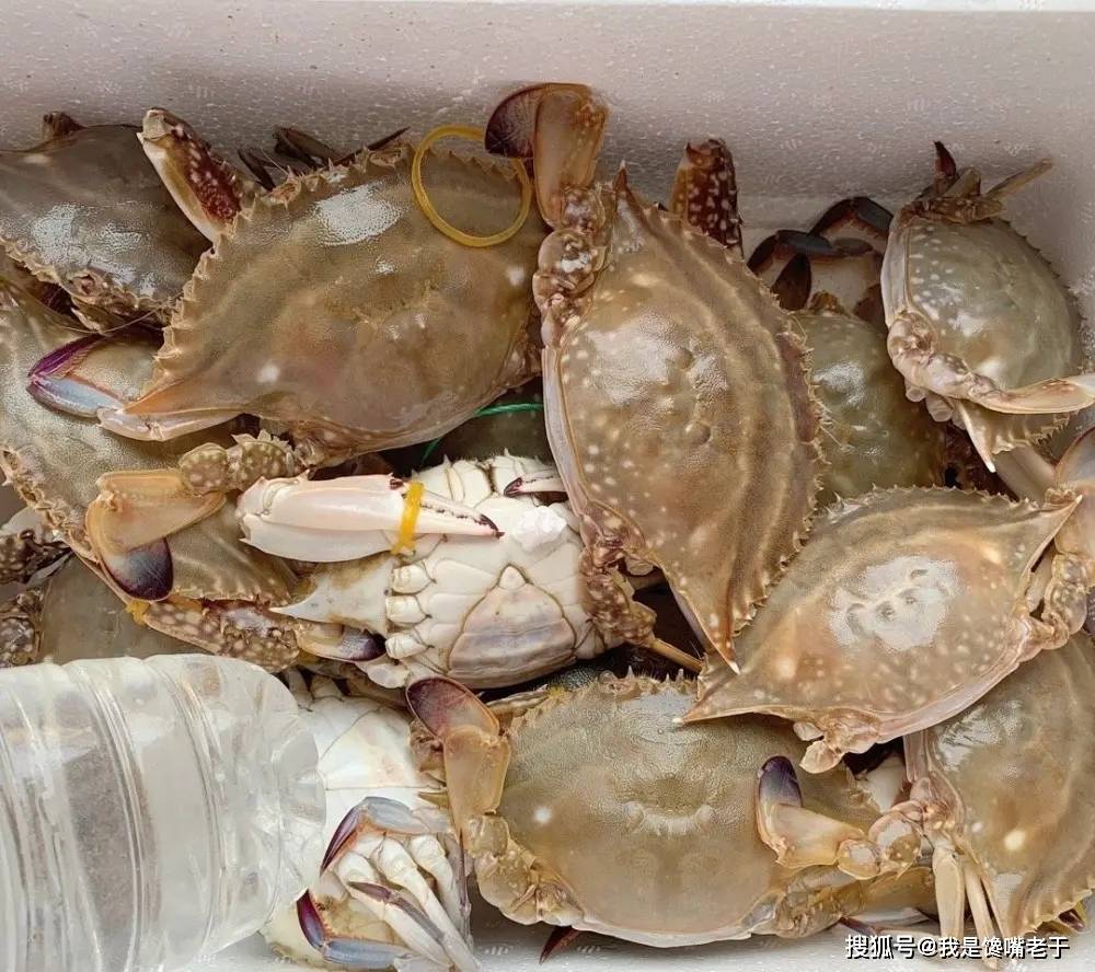 一样是螃蟹,“30和80”元一斤的,有啥区别?知道以后别再乱买了