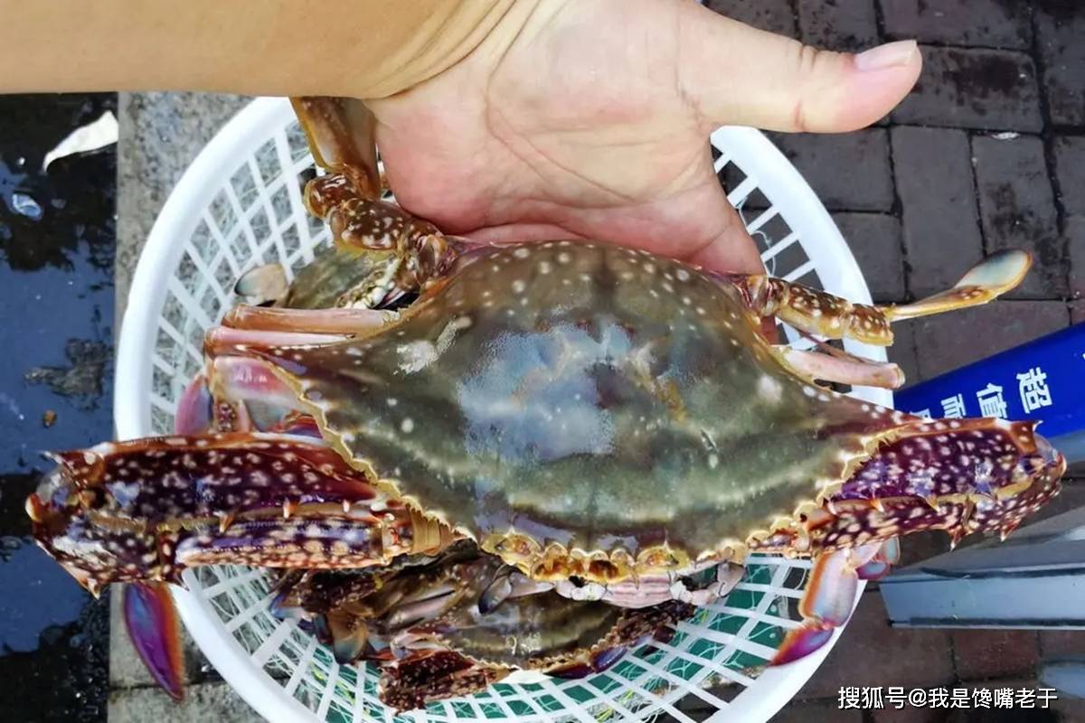 一样是螃蟹,“30和80”元一斤的,有啥区别?知道以后别再乱买了