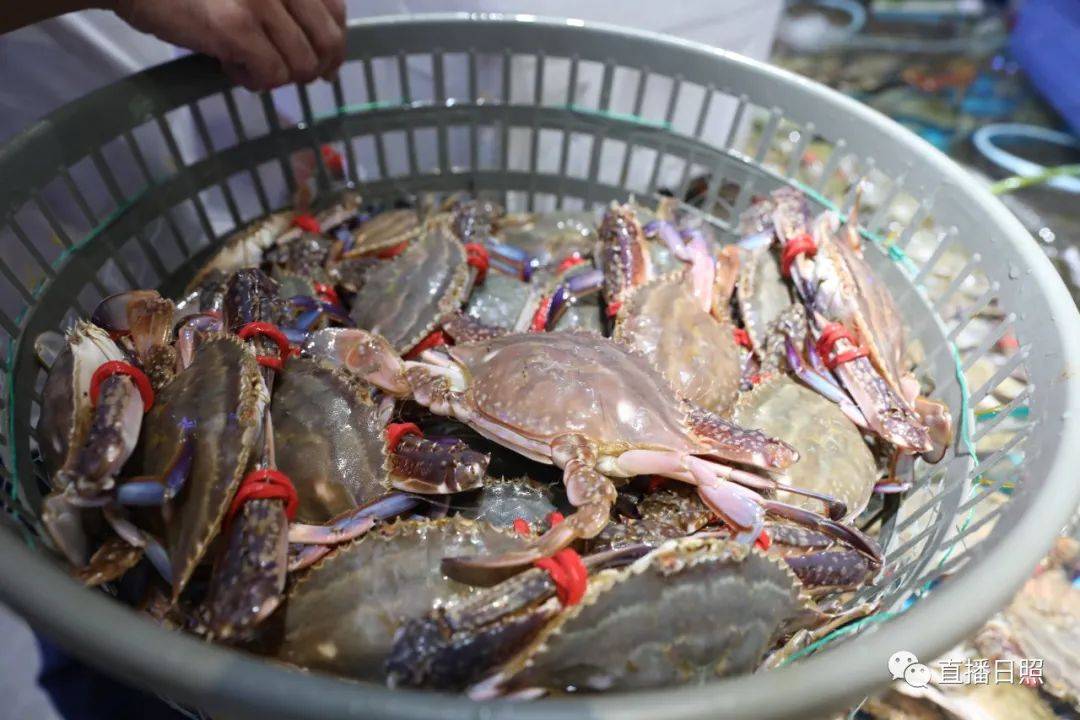 放开吃!一大波螃蟹在日照上市!什么价?