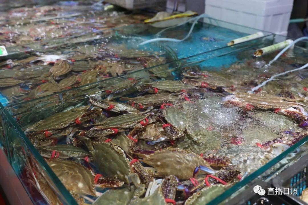 放开吃!一大波螃蟹在日照上市!什么价?