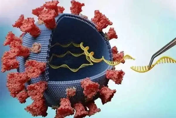 直乐：新冠转阴就没事了？别大意，做好这几点才能更好度过恢复期