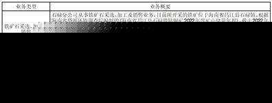海南矿业股份有限公司2022年度报告摘要