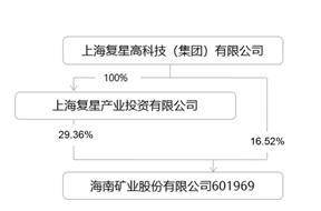 海南矿业股份有限公司2022年度报告摘要