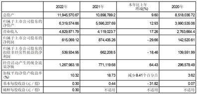 海南矿业股份有限公司2022年度报告摘要