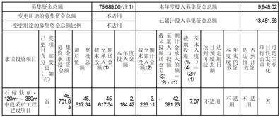 海南矿业股份有限公司2022年度报告摘要