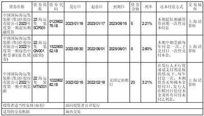 中国国际海运集装箱（集团）股份有限公司2022年度报告摘要