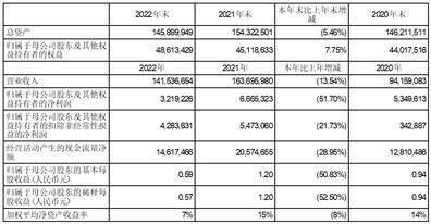 中国国际海运集装箱（集团）股份有限公司2022年度报告摘要