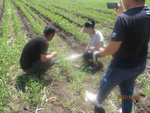 阳光财险荣获“金理财”年度创新型保险产品奖