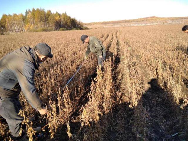 阳光财险荣获“金理财”年度创新型保险产品奖