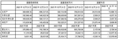 通富微电子股份有限公司 第七届监事会第十九次会议决议公告