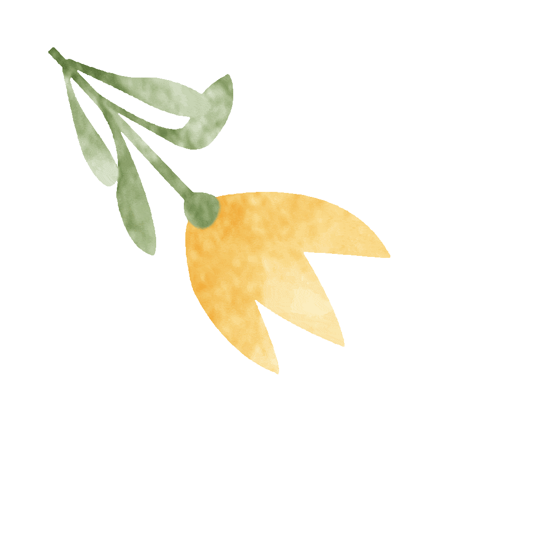 提前看!普陀区图书馆5月活动日历出炉!