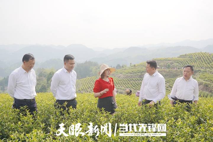 思南农商银行：金融活水“滴灌”县域经济