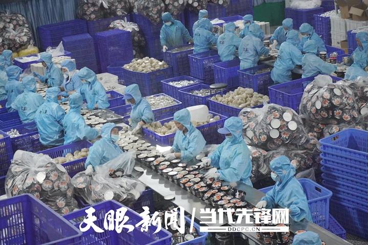 思南农商银行：金融活水“滴灌”县域经济