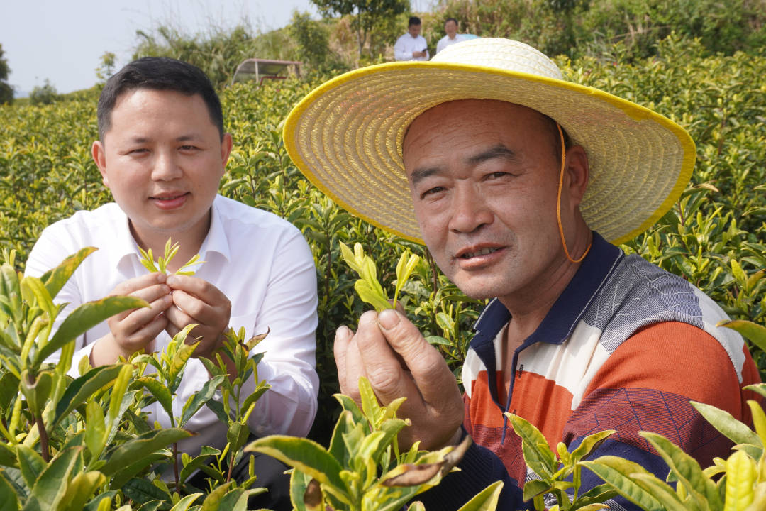 思南农商银行：金融活水“滴灌”县域经济