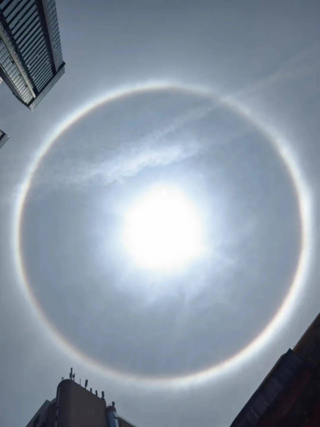 朋友圈刷屏！深圳惊现“日晕”！