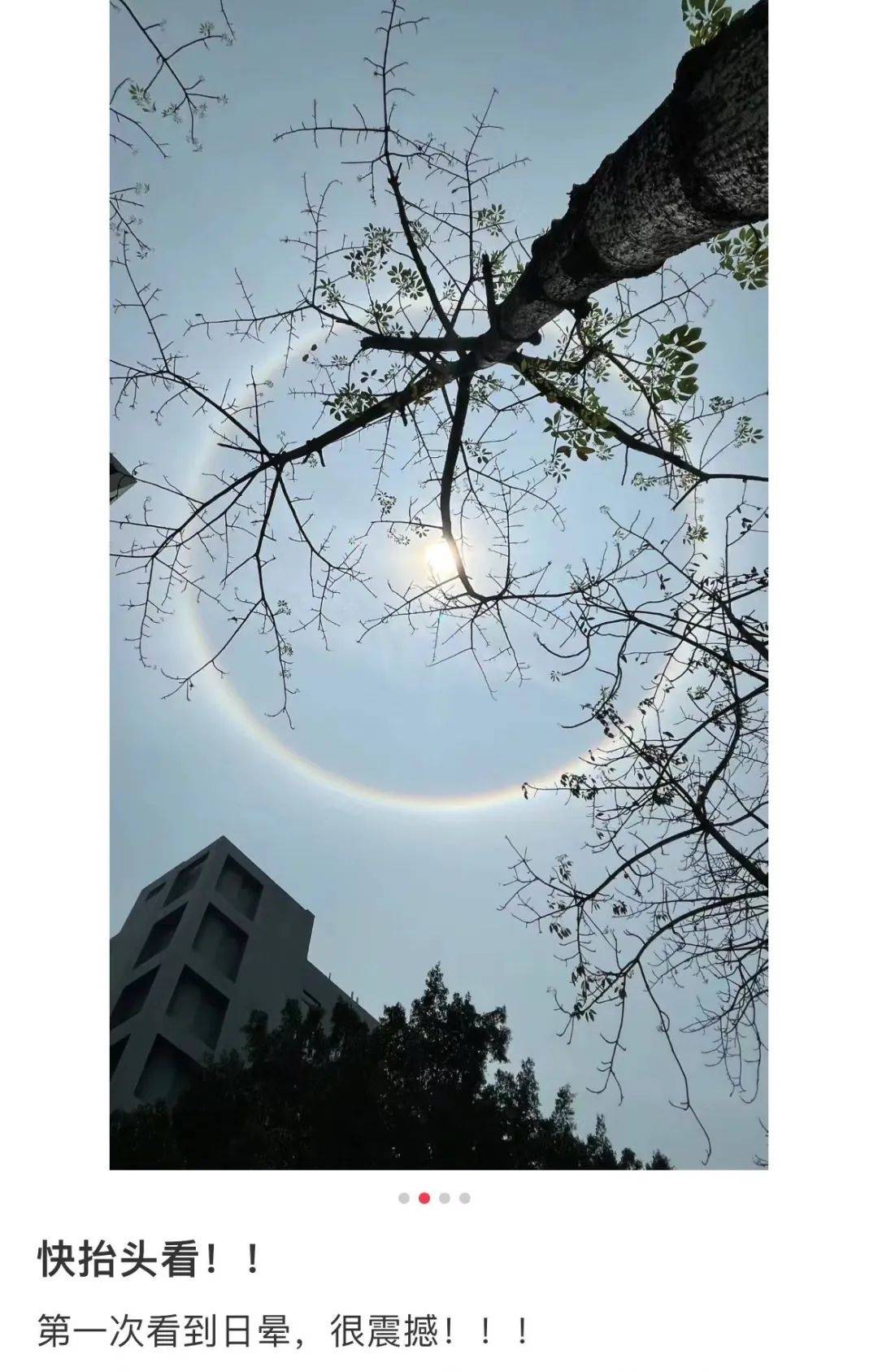 朋友圈刷屏！深圳惊现“日晕”！