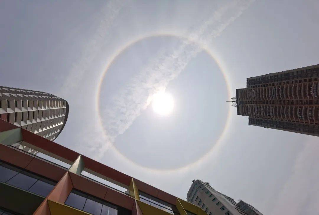朋友圈刷屏！深圳惊现“日晕”