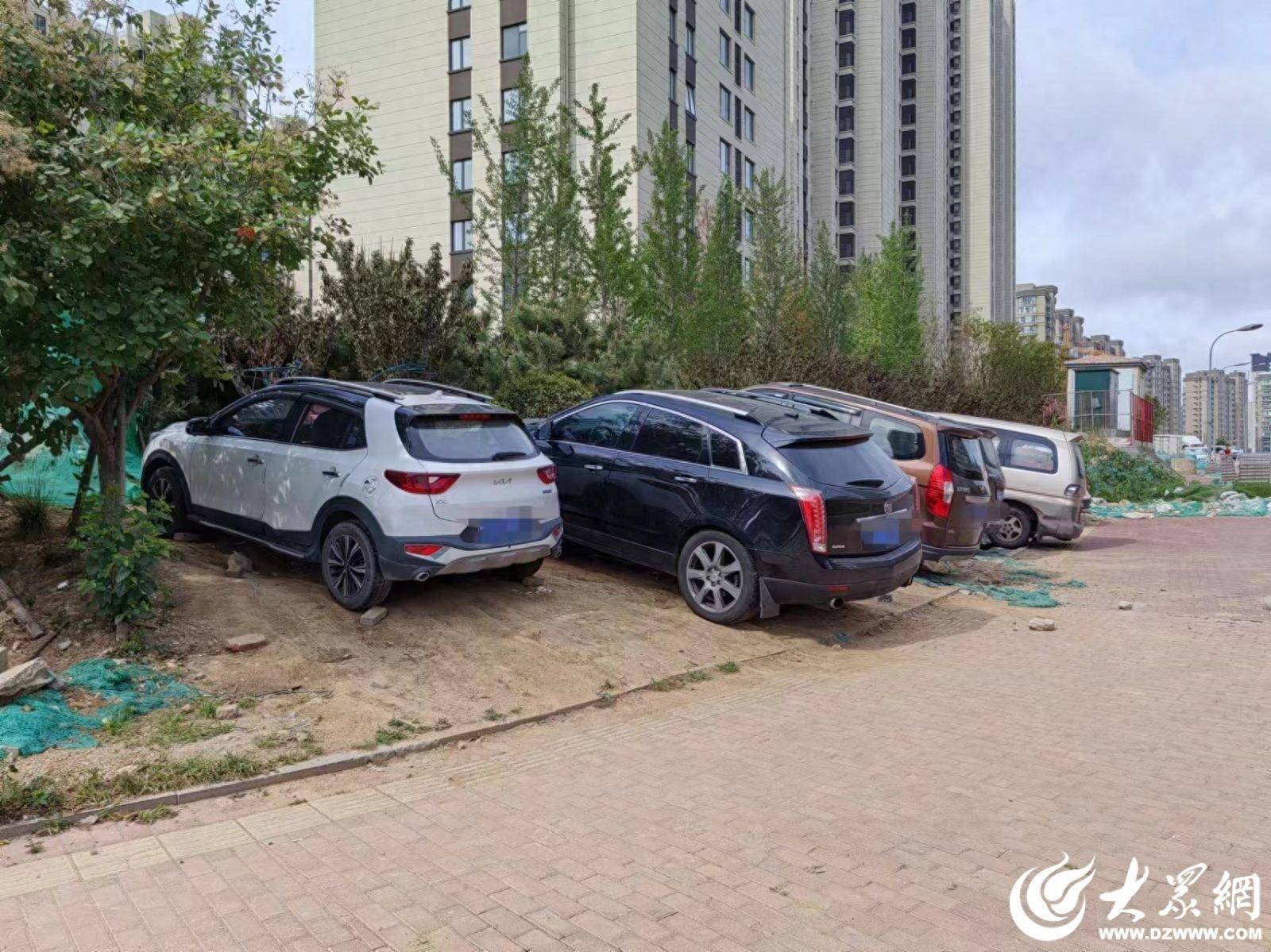 大众网快快帮|城市绿化带变“秃头”!到底谁来管一管?