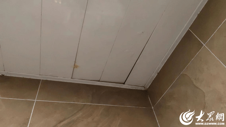 大众网快快帮|万科精装房漏水无人修 万科地产:无报修记录,修不了!